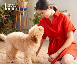 Love Bonito International